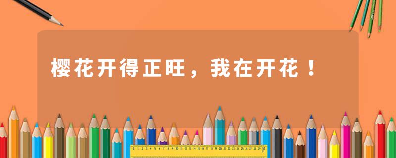 樱花开得正旺,我在开花!