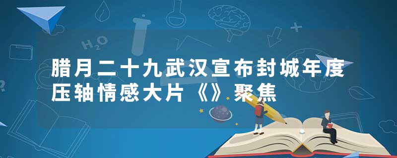腊月二十九武汉宣布封城年度压轴情感大片《》聚焦