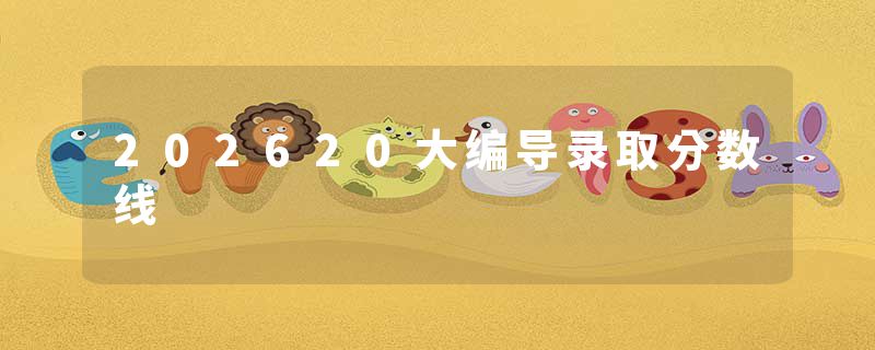 202620大编导录取分数线