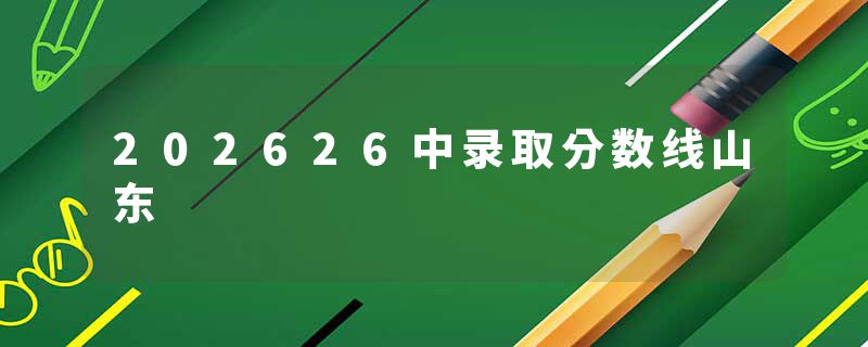 202626中录取分数线山东