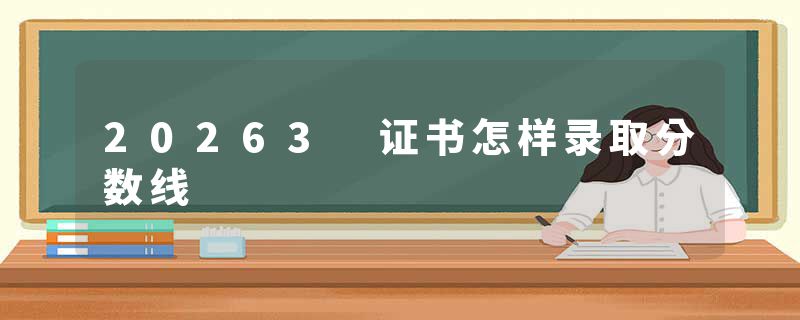 20263 证书怎样录取分数线