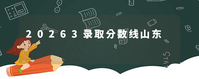 20263录取分数线山东