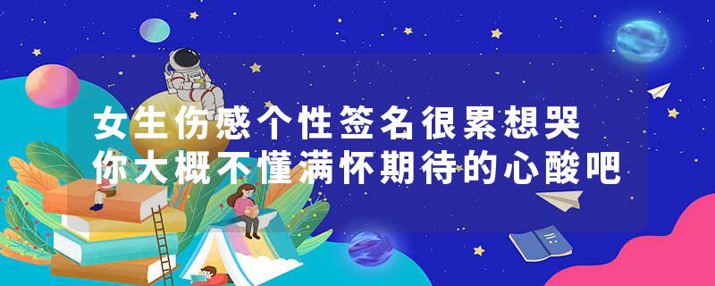 女生伤感个性签名很累想哭 你大概不懂满怀期待的心酸吧