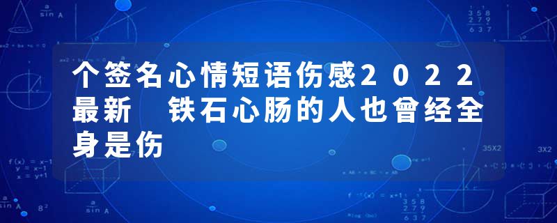 个签名心情短语伤感2022最新 铁石心肠的人也曾经全身是伤