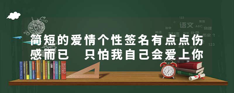 简短的爱情个性签名有点点伤感而已 只怕我自己会爱上你