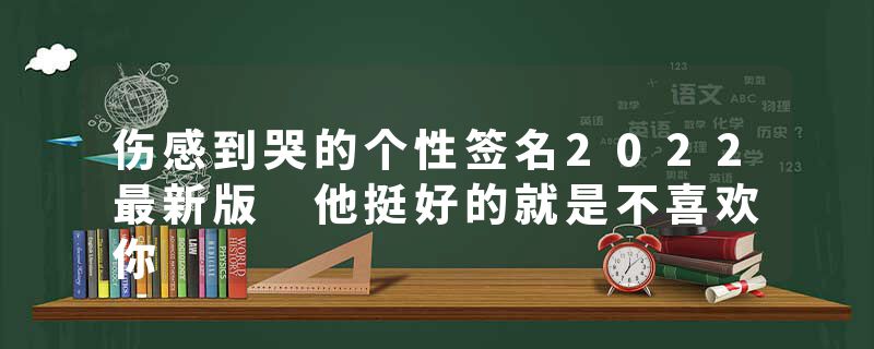 伤感到哭的个性签名2022最新版 他挺好的就是不喜欢你