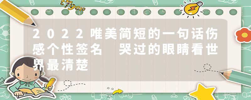 2022唯美简短的一句话伤感个性签名 哭过的眼睛看世界最清楚