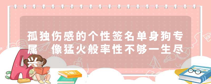 孤独伤感的个性签名单身狗专属 像猛火般率性不够一生尽兴