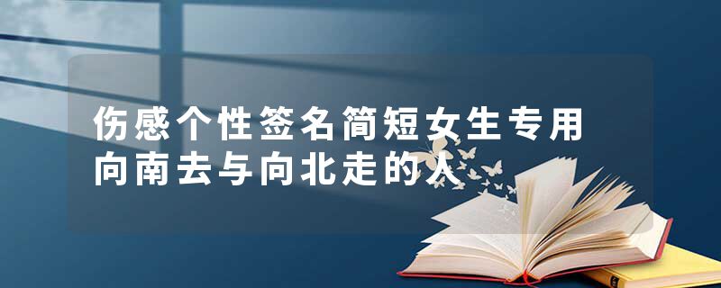 伤感个性签名简短女生专用 向南去与向北走的人