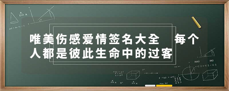 唯美伤感爱情签名大全 每个人都是彼此生命中的过客