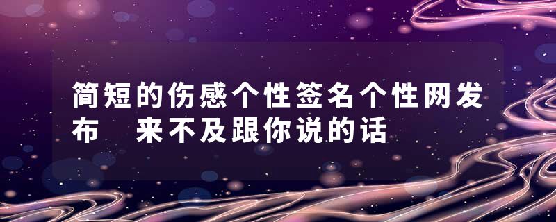 简短的伤感个性签名个性网发布 来不及跟你说的话