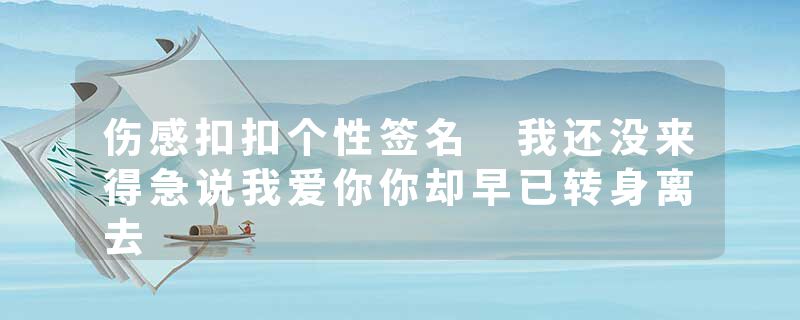 伤感扣扣个性签名 我还没来得急说我爱你你却早已转身离去