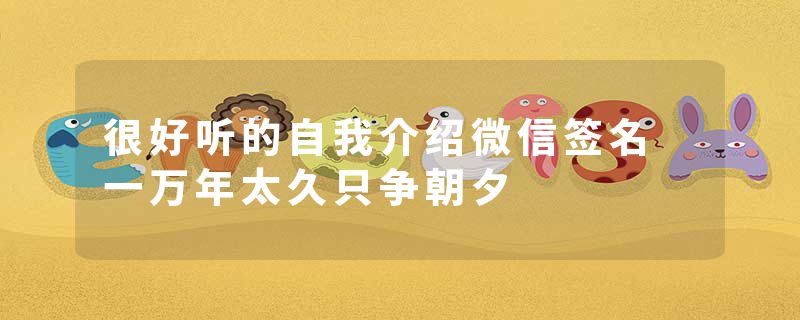 很好听的自我介绍微信签名 一万年太久只争朝夕