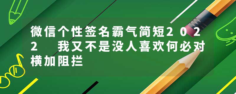 微信个性签名霸气简短2022 我又不是没人喜欢何必对横加阻拦