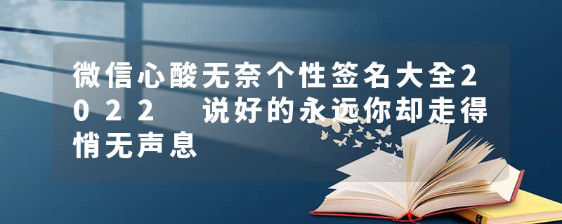 微信心酸无奈个性签名大全2022 说好的永远你却走得悄无声息