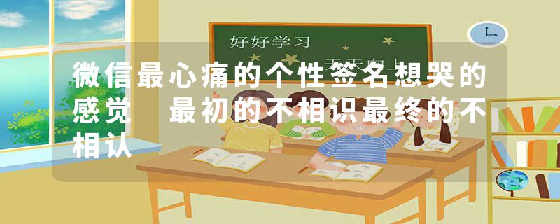 微信最心痛的个性签名想哭的感觉 最初的不相识最终的不相认