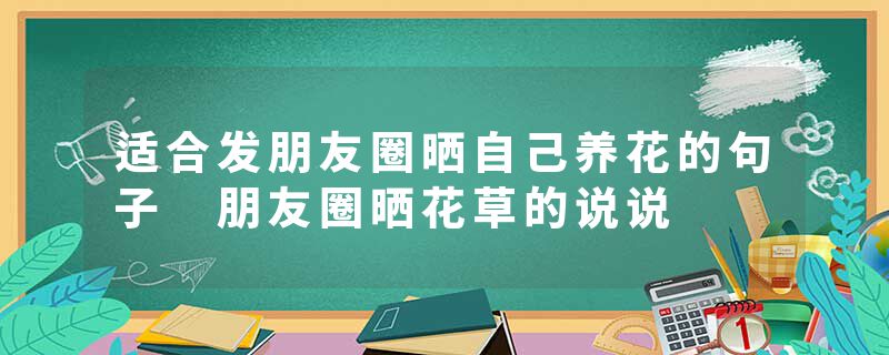 适合发朋友圈晒自己养花的句子 朋友圈晒花草的说说
