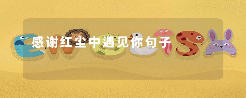 感谢红尘中遇见你句子