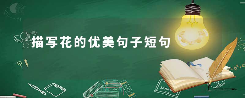 描写花的优美句子短句