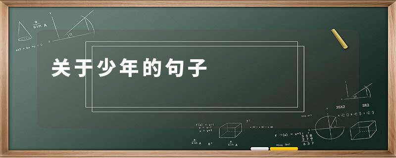 关于少年的句子