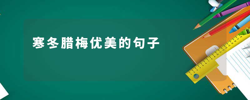 寒冬腊梅优美的句子