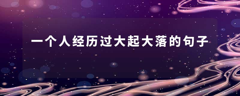 一个人经历过大起大落的句子