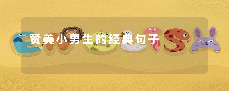 赞美小男生的经典句子
