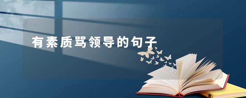 有素质骂领导的句子