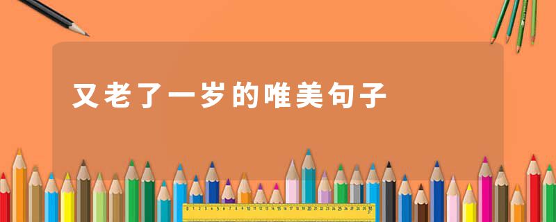 又老了一岁的唯美句子