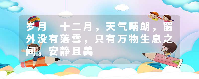 岁月 十二月，天气晴朗，窗外没有落雪，只有万物生息之间，安静且美