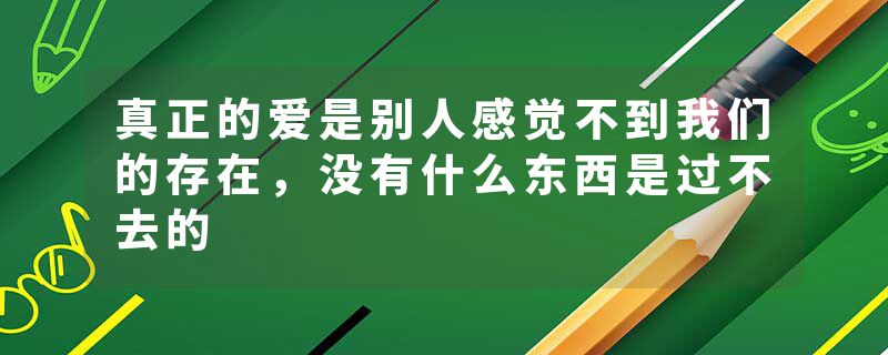 真正的爱是别人感觉不到我们的存在，没有什么东西是过不去的