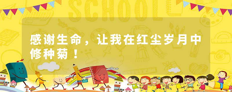 感谢生命,让我在红尘岁月中修种菊!