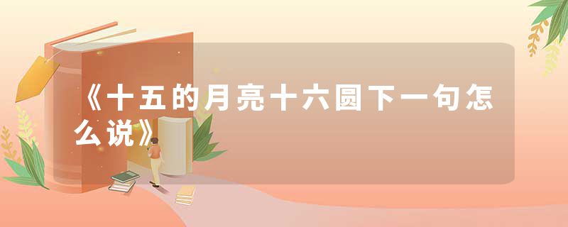 《十五的月亮十六圆下一句怎么说》