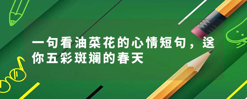 一句看油菜花的心情短句，送你五彩斑斓的春天