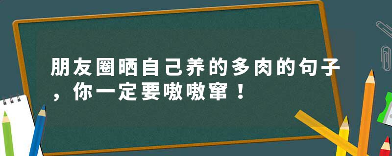 朋友圈晒自己养的多肉的句子，你一定要嗷嗷窜！