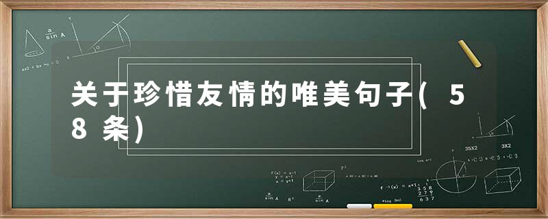 关于珍惜友情的唯美句子(58条)
