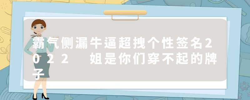 霸气侧漏牛逼超拽个性签名2022 姐是你们穿不起的牌子