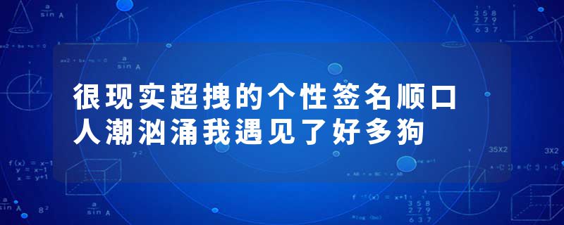 很现实超拽的个性签名顺口 人潮汹涌我遇见了好多狗