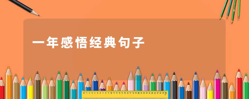 一年感悟经典句子