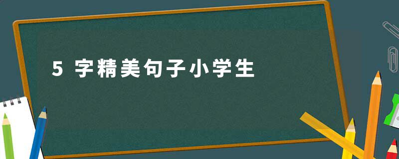 5字精美句子小学生