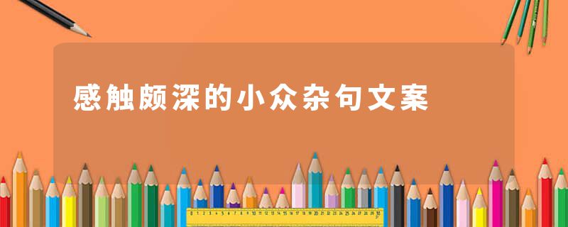 感触颇深的小众杂句文案