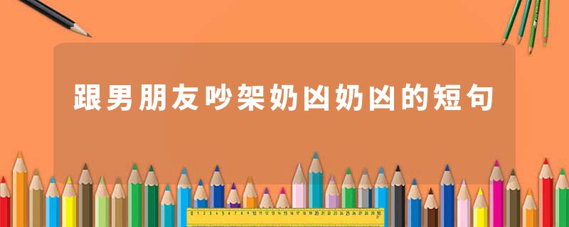 跟男朋友吵架奶凶奶凶的短句