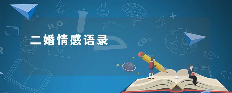 二婚情感语录