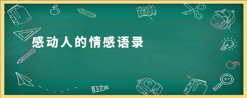 感动人的情感语录
