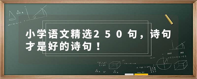 小学语文精选250句,诗句才是好的诗句!