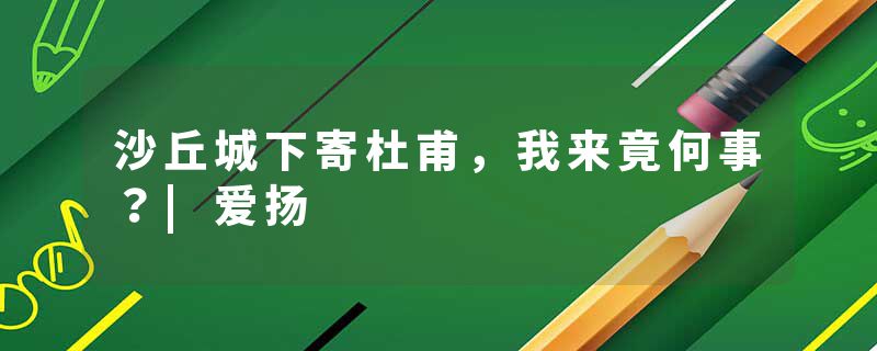 沙丘城下寄杜甫,我来竟何事?|爱扬