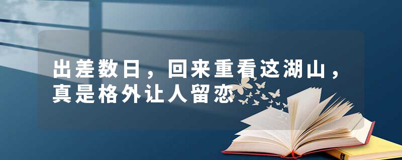 出差数日，回来重看这湖山，真是格外让人留恋