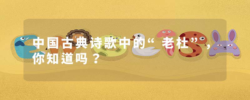 中国古典诗歌中的“老杜”，你知道吗？