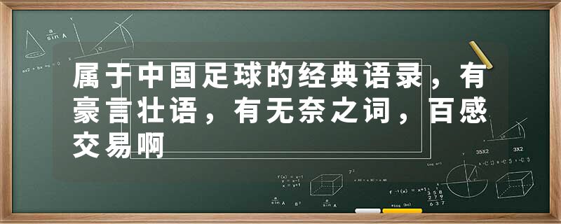 属于中国足球的经典语录，有豪言壮语，有无奈之词，百感交易啊