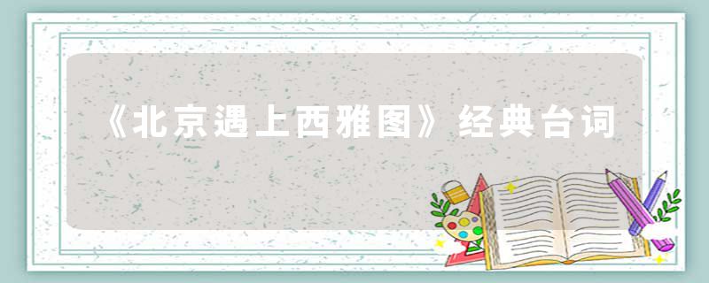 《北京遇上西雅图》经典台词